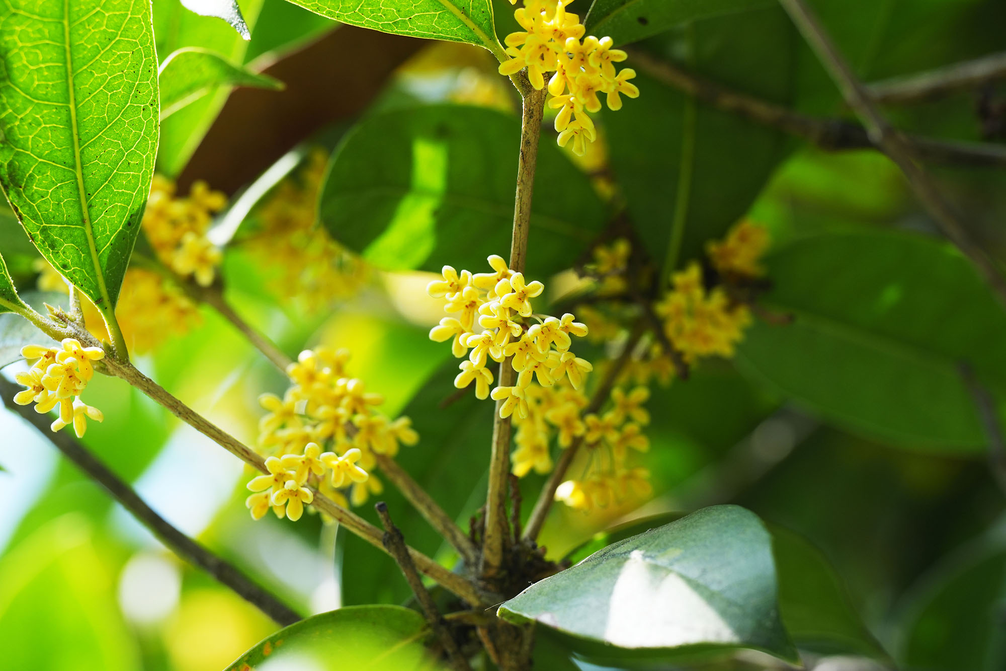 mg����ͻ���ݻ���(����)�ٷ���վ