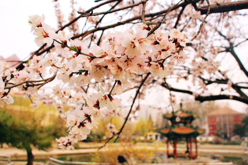 20160426100221536663